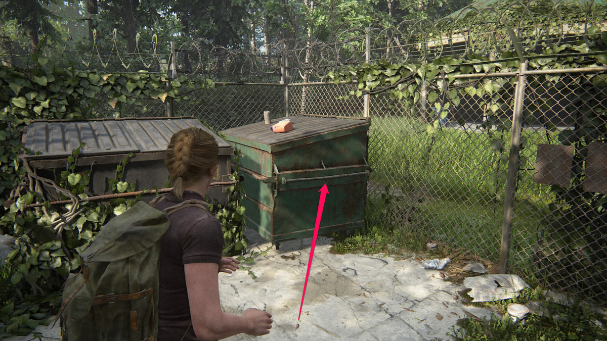 The Last of Us Parte 2 guida: The Park da collezione