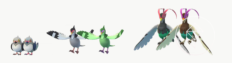 Entrambe le forme regolari e lucenti di Pidove, Tranquill e Unfezant