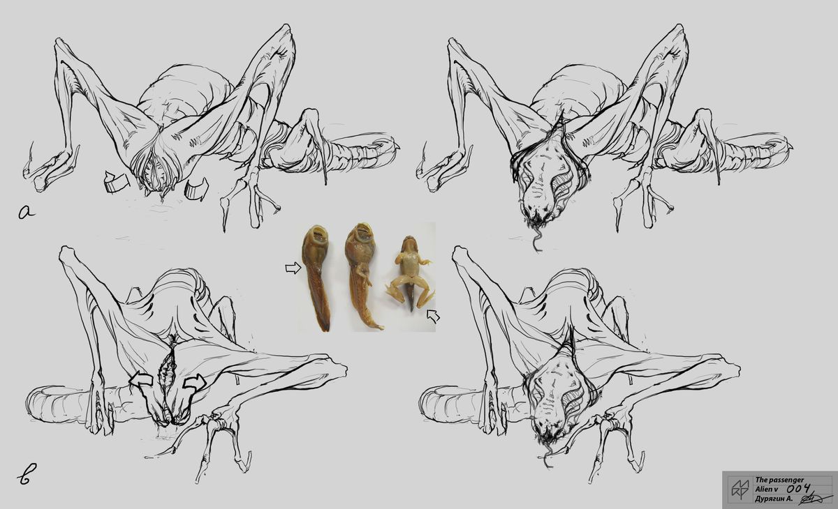 l'alieno sputnik sembra una rana