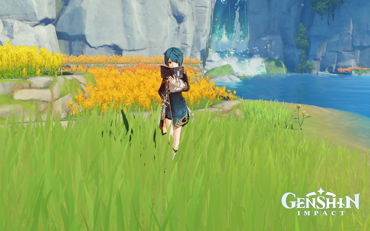 Xingqiu legge tra l'erba