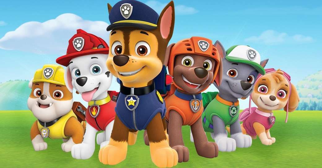 a line up of dogs in clothes, including one dog in pink, from paw patrol