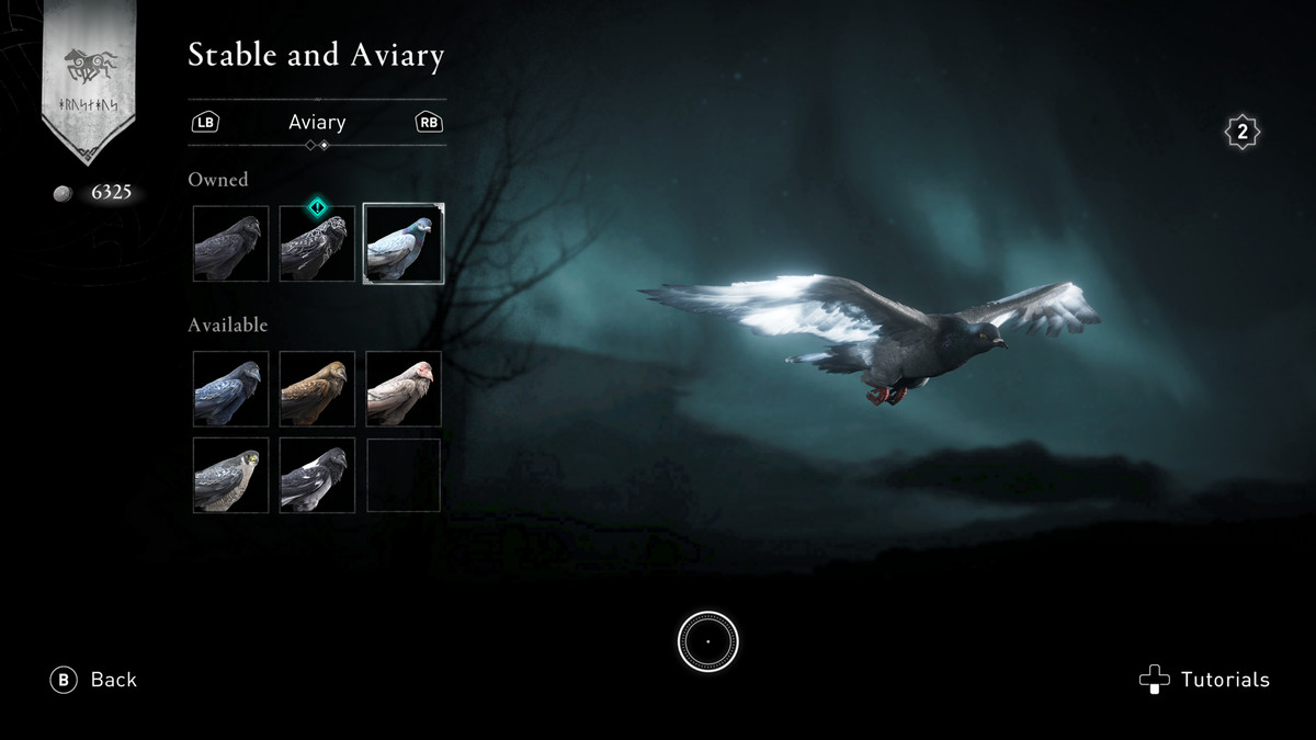 Piccione nella schermata della voliera