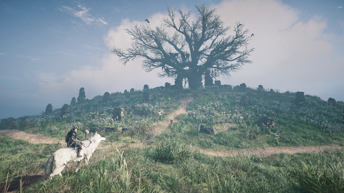 Un cavallo su un albero in Assassins Creed Valhalla