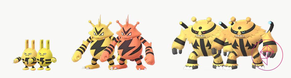 Un confronto per Shiny Elekid, Electabuzz ed Electivire con le loro forme normali. Shiny Elekid è un giallo più chiaro, Shiny Electabuzz è arancione e Electivire è un giallo più scuro con accenti blu.
