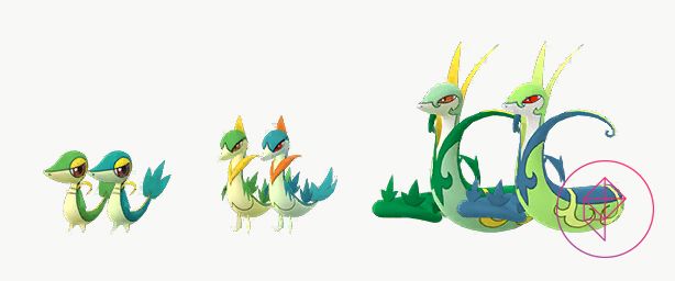 Shiny e normale Snivy e le sue evoluzioni. Shiny Snivy e le sue evoluzioni sono tonalità di verde leggermente più blu. Shiny Serperior ha colori più simili al neon e Shiny Servine ha colori arancioni più profondi invece che dorati.