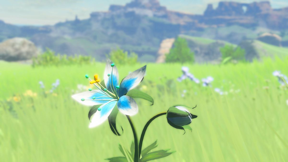 Un fiore nei campi di Hyrule
