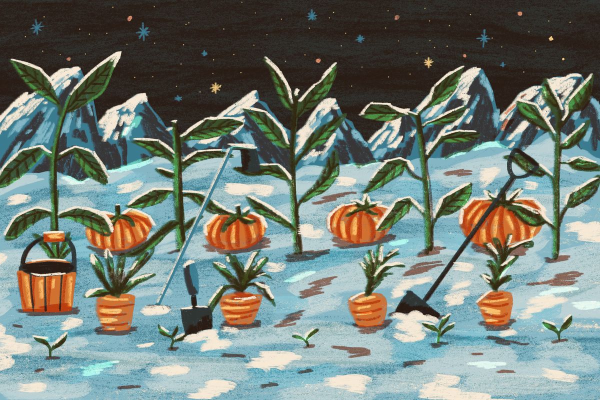 An original illustration shows plants and pumpkins in a garden