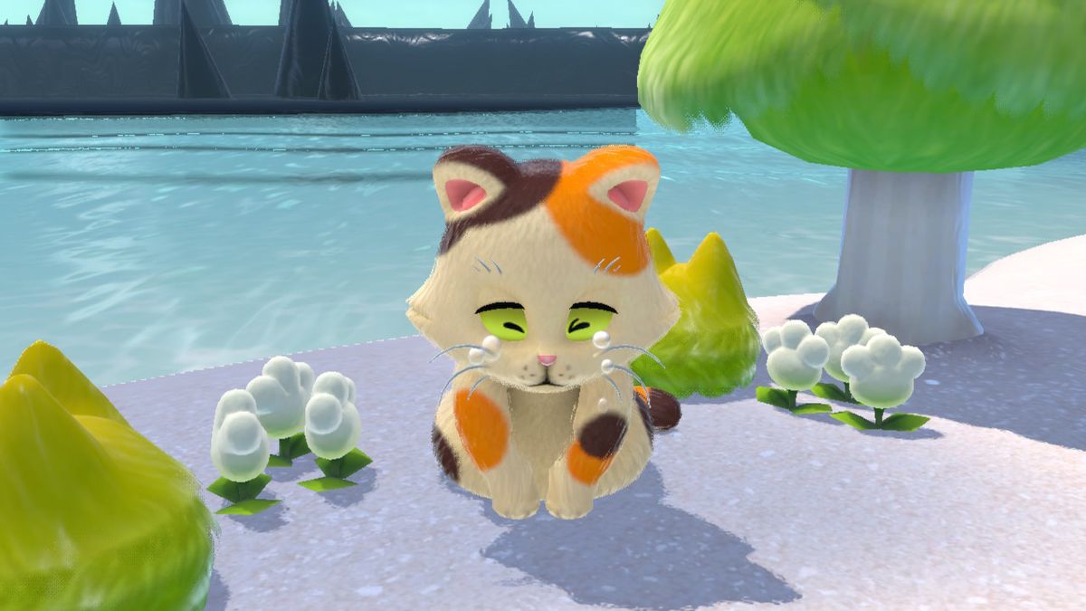 Un gatto solitario piange su una bellissima isola in Fury di Bowser.