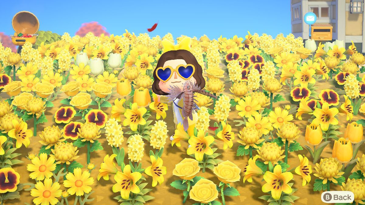 An Animal Crossing character holds up a fish in a field of yellow flowers