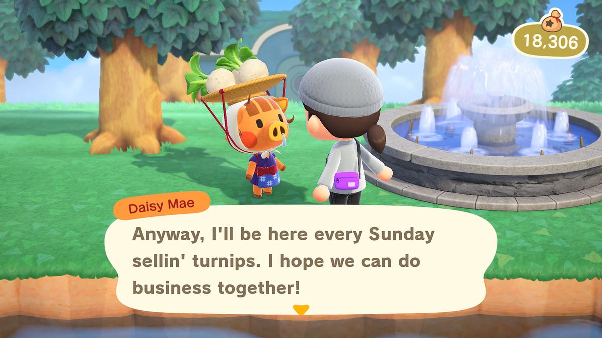 A small boar with turnips on her head, Daisy Mae, notes that she’ll be around on Sundays selling turnips in Animal Crossing: New Horizons
