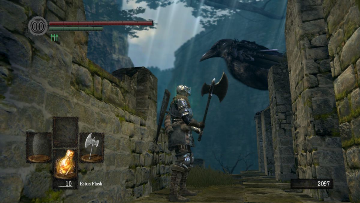 Il mio personaggio di Dark Souls, la sua arma fidata e il suo grande amico corvo
