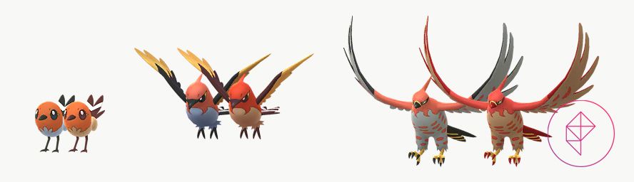 Fletchling e le sue evoluzioni rispetto alle sue versioni Shiny. Le versioni lucide sono più gialle dorate.