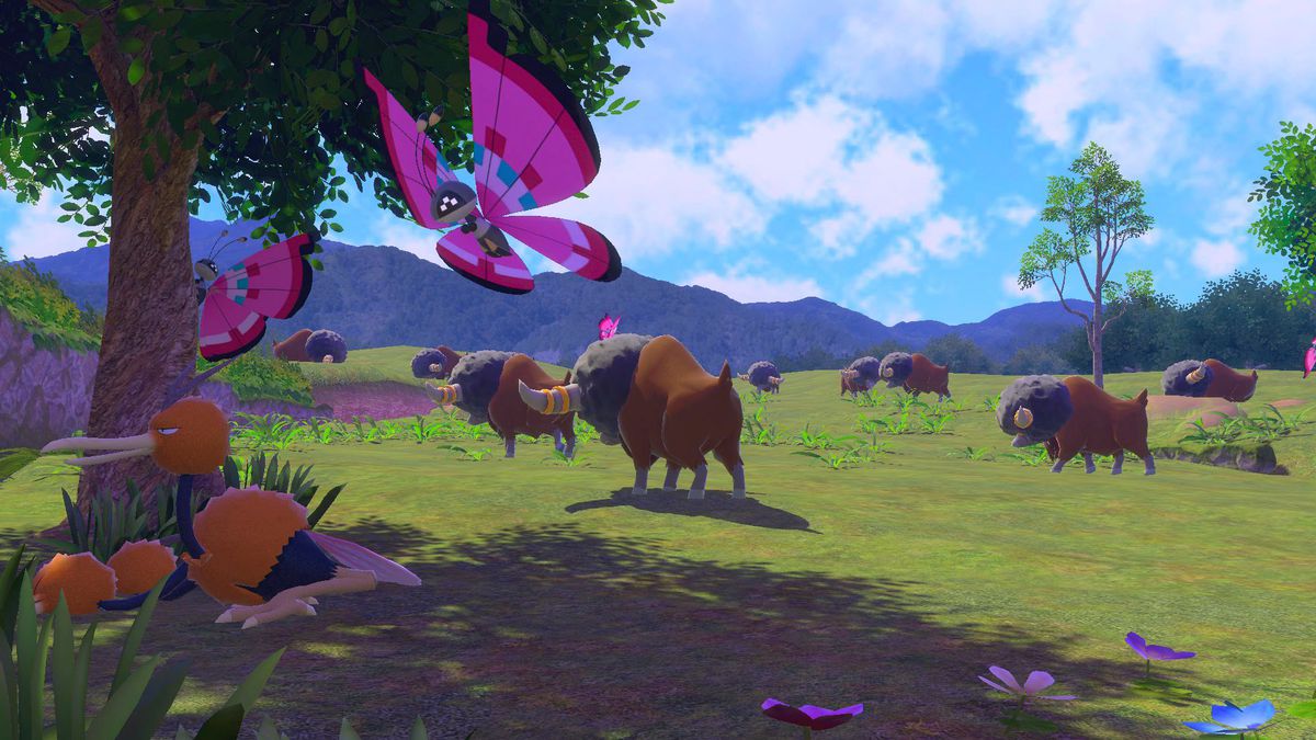 Un gruppo di Bouffalant e Vivillon in uno screenshot da Nuovo Pokémon Snap