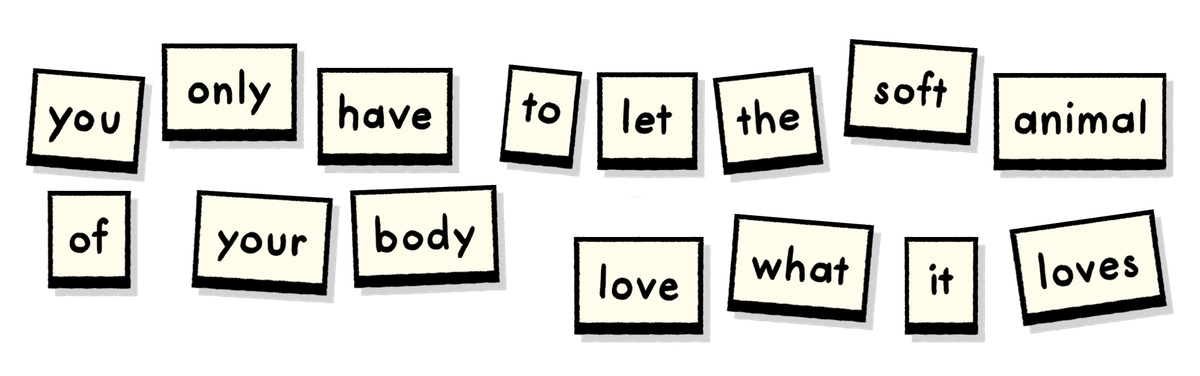 You only have to let the soft animal of your body / love what it loves.