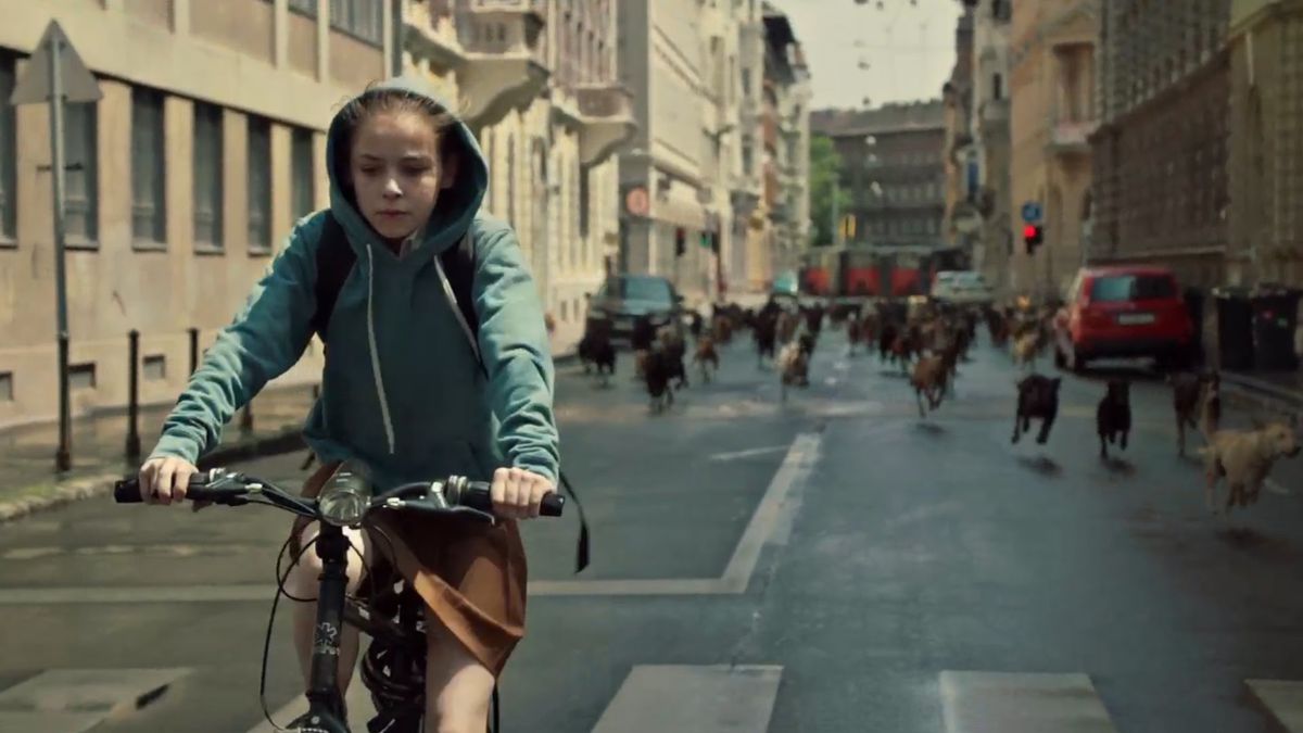 Lili riding her bike ahead a pack of dogs.