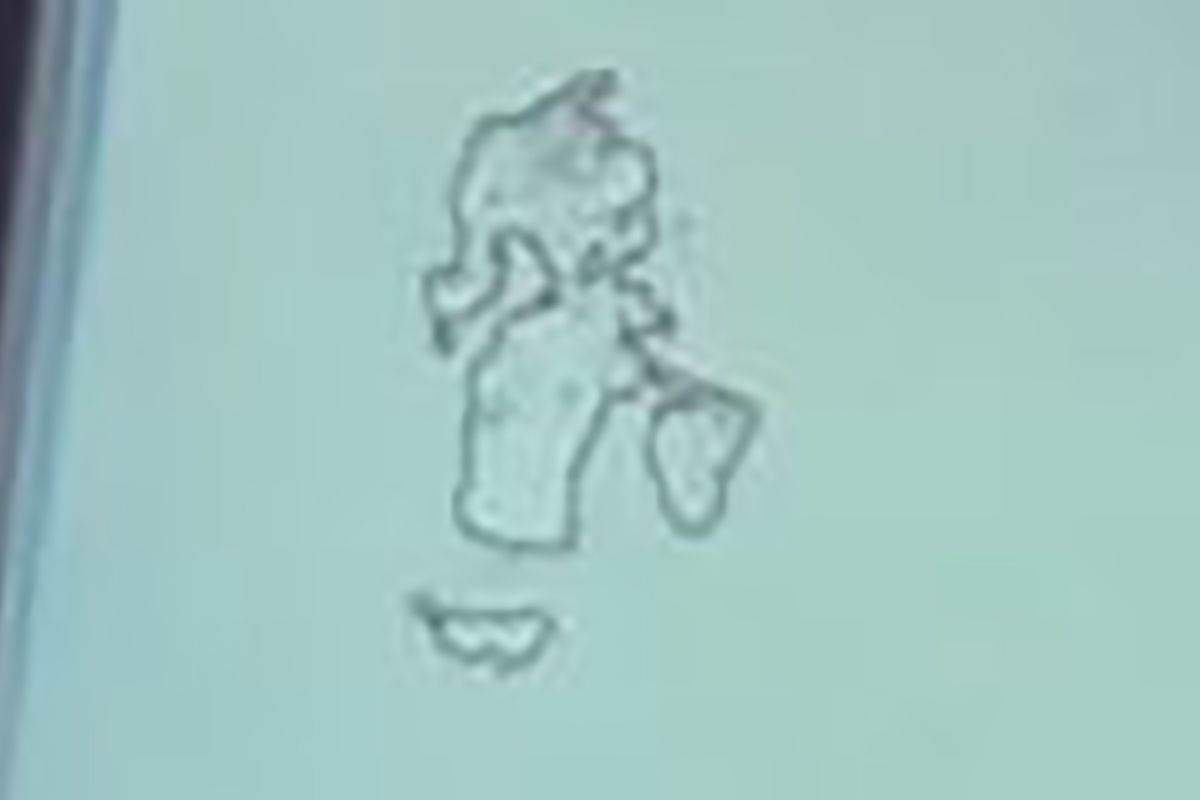 Un'immagine sfocata che potrebbe essere qualsiasi cosa, davvero.