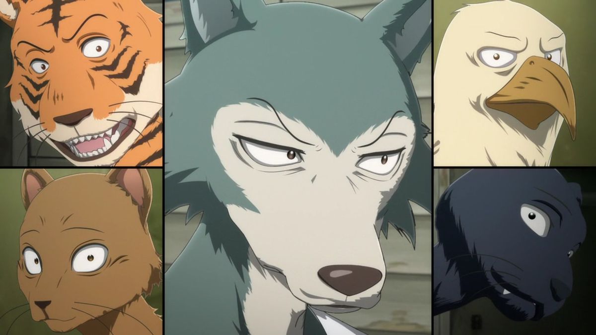 Cornice divisa di Legoshi con i suoi compagni di classe animali antropomorfi nella stagione 2 di Beastars.