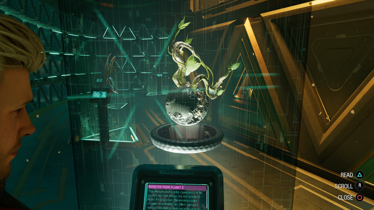 A fragment of Groot’s body, displayed at The Collector’s Emporium