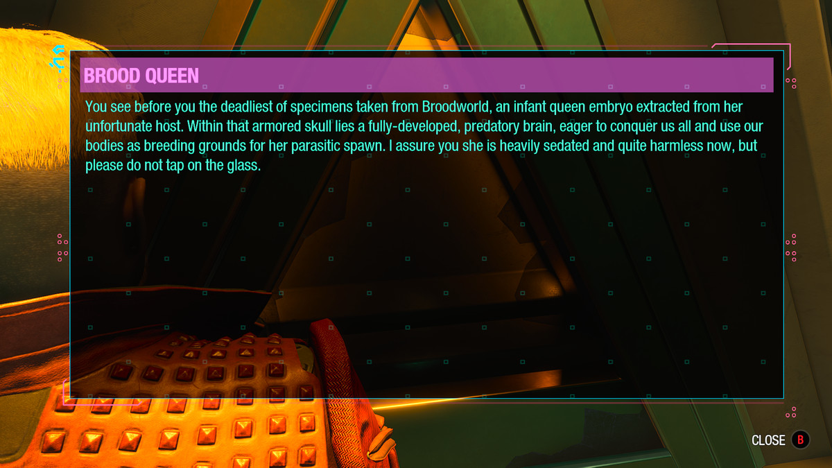 An empty display of a Brood Queen embryo in The Collector’s Emporium