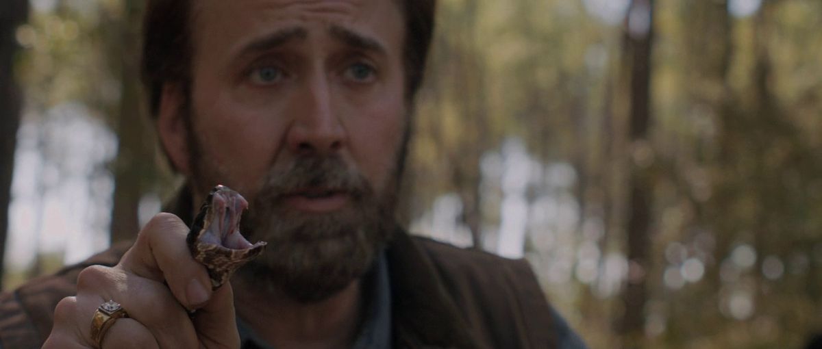 Nicolas Cage tiene un serpente in Joe.