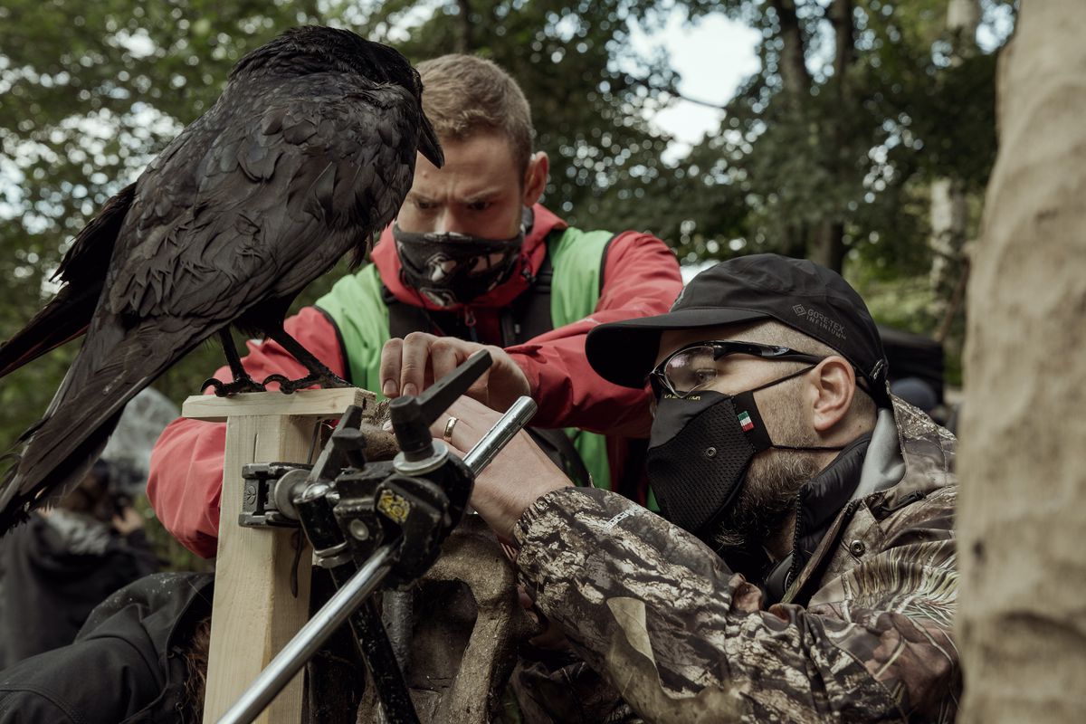 Robert Eggers, da vicino sul set con una telecamera puntata su un corvo dal vivo