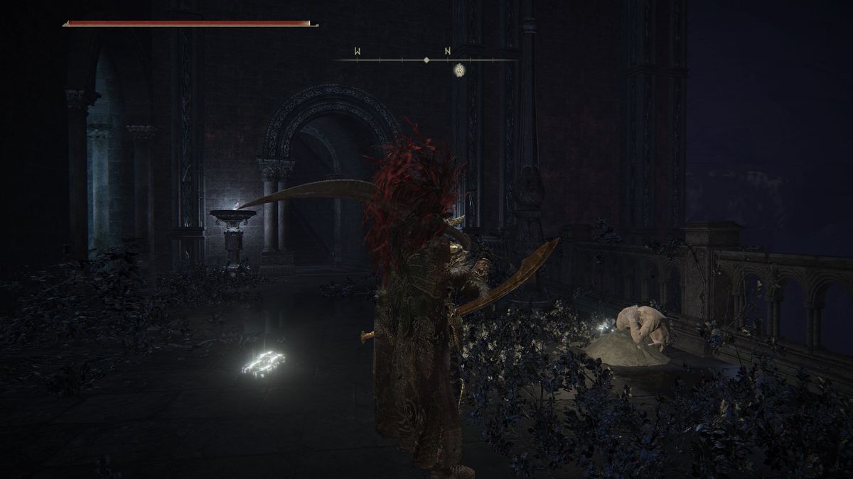 Il mio personaggio in Elden Ring guarda dall'alto in basso il fratello di D in Nokron