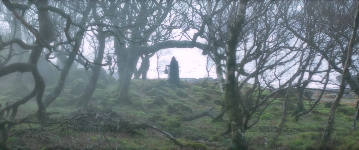 Una vista da Shepherd, con una figura della Morte vestita di nero tra alberi neri contorti in un campo verde brillante