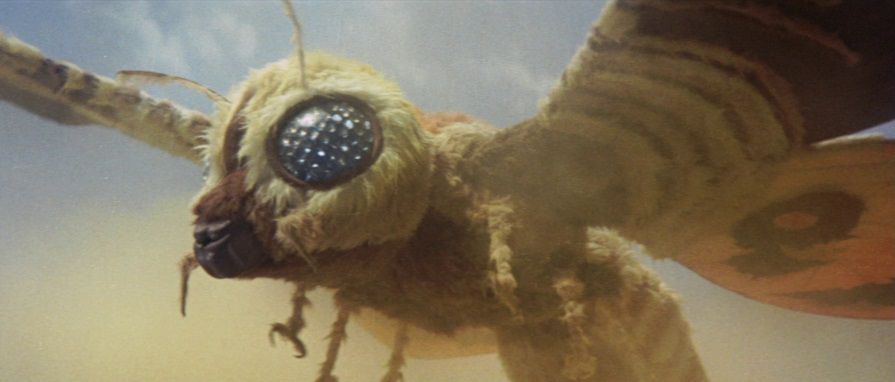 Mothra, bellissima come sempre, in Mothra vs. Godzilla.