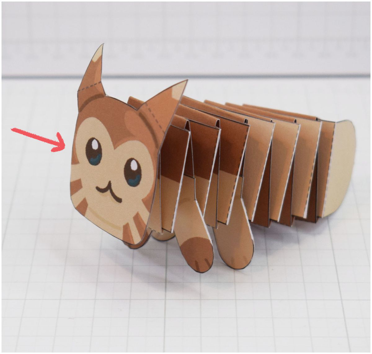 Fisarmonica di carta Furret 5/5