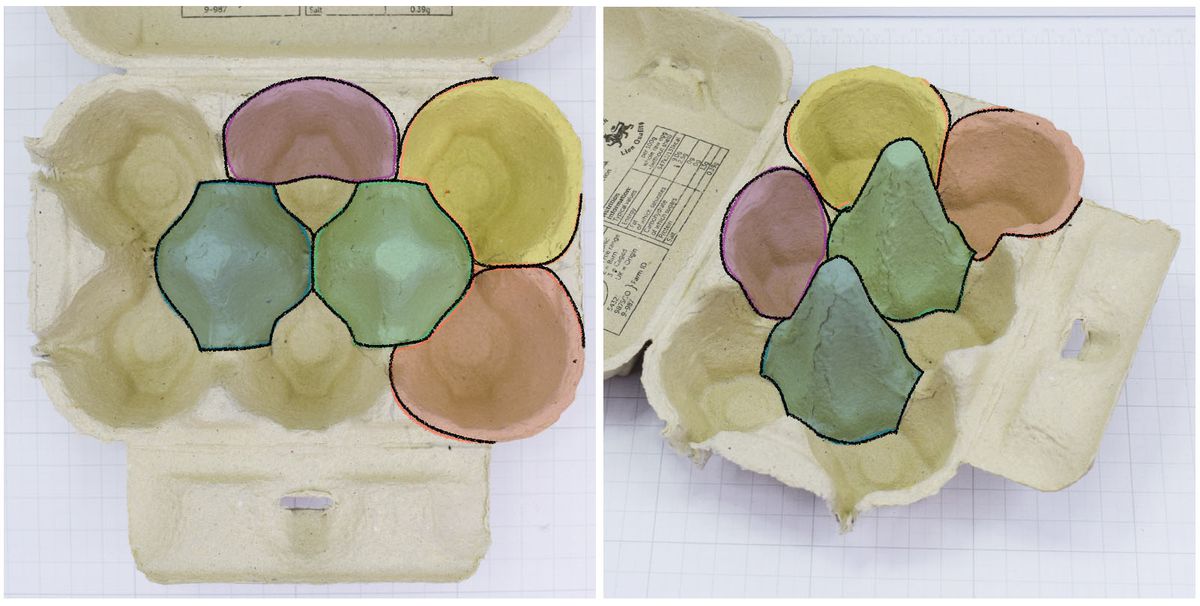 Processo Metapod in cartone per uova 1/8