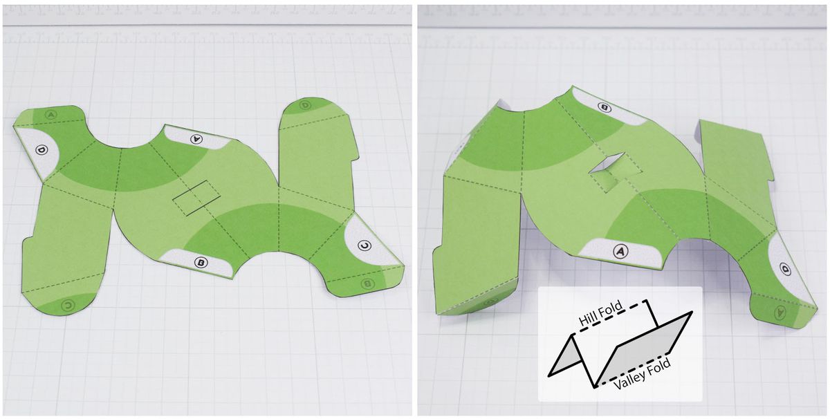 Processo Metapod in cartone per uova 4/8