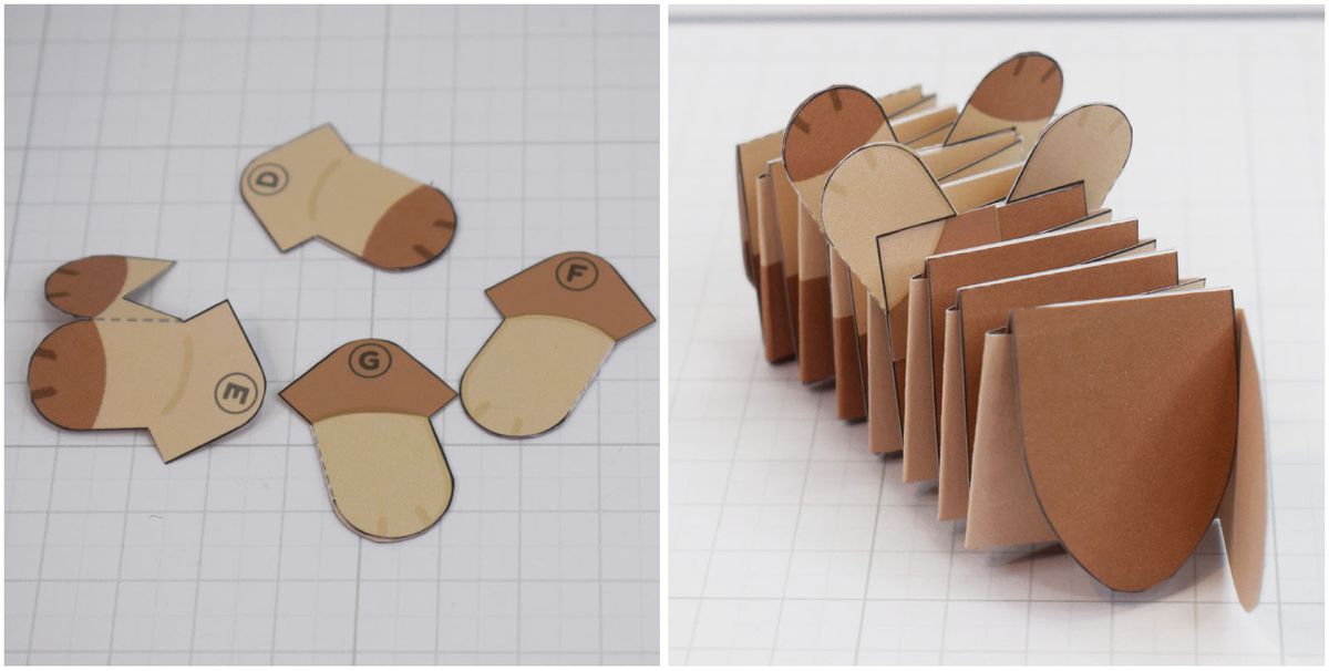 Fisarmonica di carta Furret 4/5