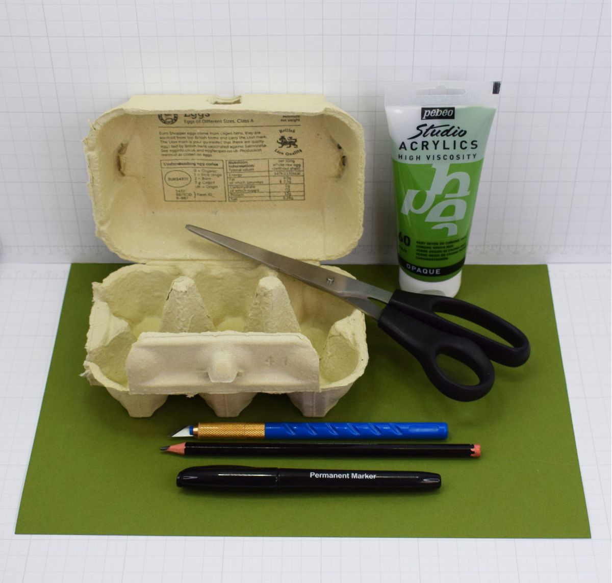 Materiali per metapodi in cartone per uova