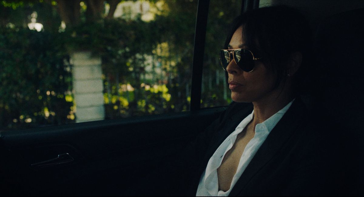 Tamara Taylor nel ruolo di Anna in Il diario di una spia.