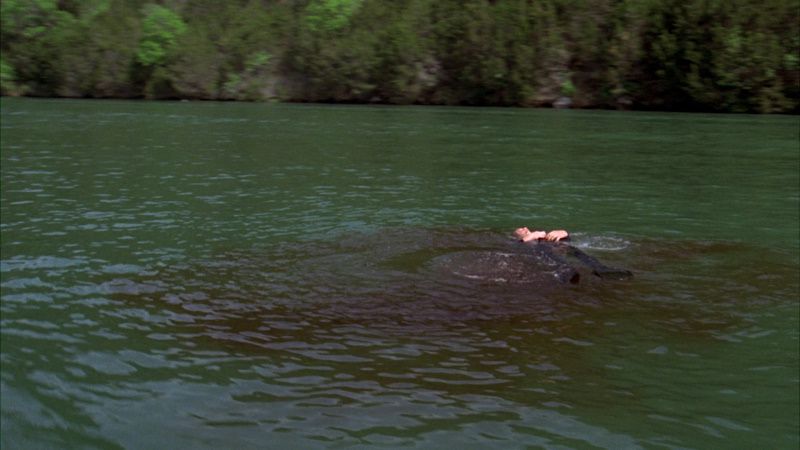 Acqua insanguinata con un corpo galleggiante a Piranha