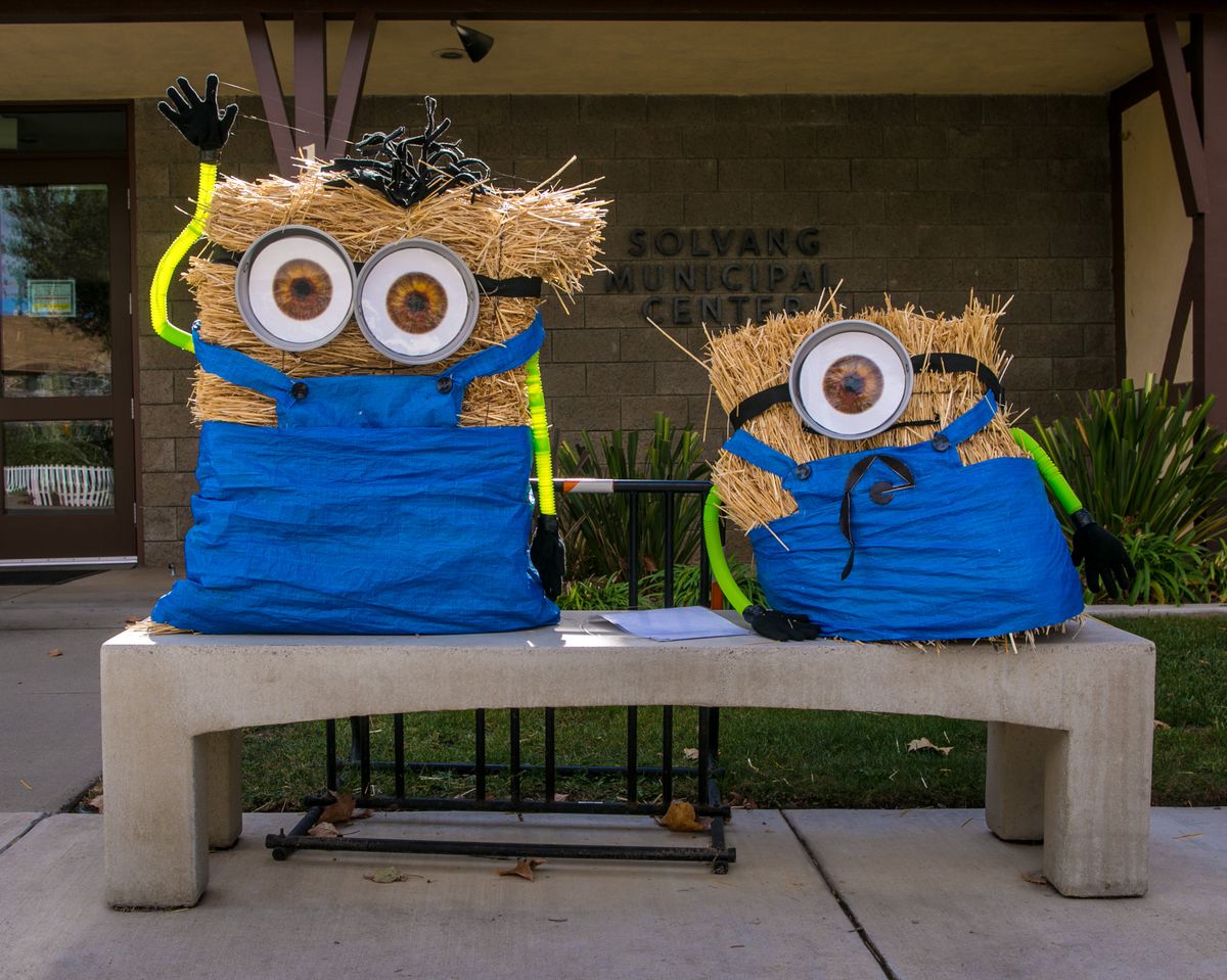 Esplorando la regione vinicola della contea di Santa Barbara