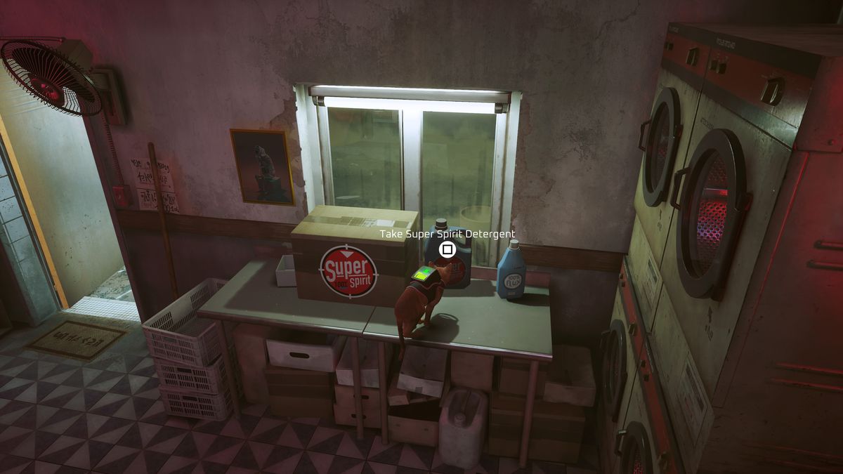 Un gatto sta su un tavolo vicino a un detersivo a Stray