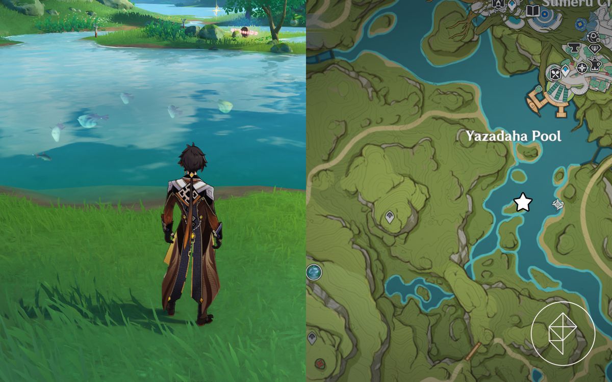 Zhongli sta in un campo e guarda un banco di pesci nell'acqua