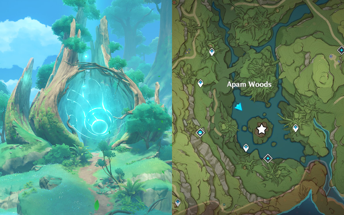 Immagine divisa che mostra un grande albero in Apam Woods e la sua posizione contrassegnata da una stella