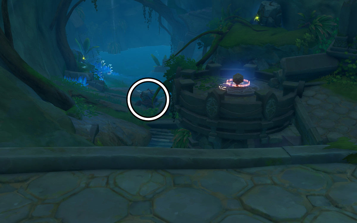 La roccia ricoperta di radici è cerchiata per la comodità dei lettori e ci sono due rocce sigillate sopra di essa affinché i lettori possano vedere la loro posizione