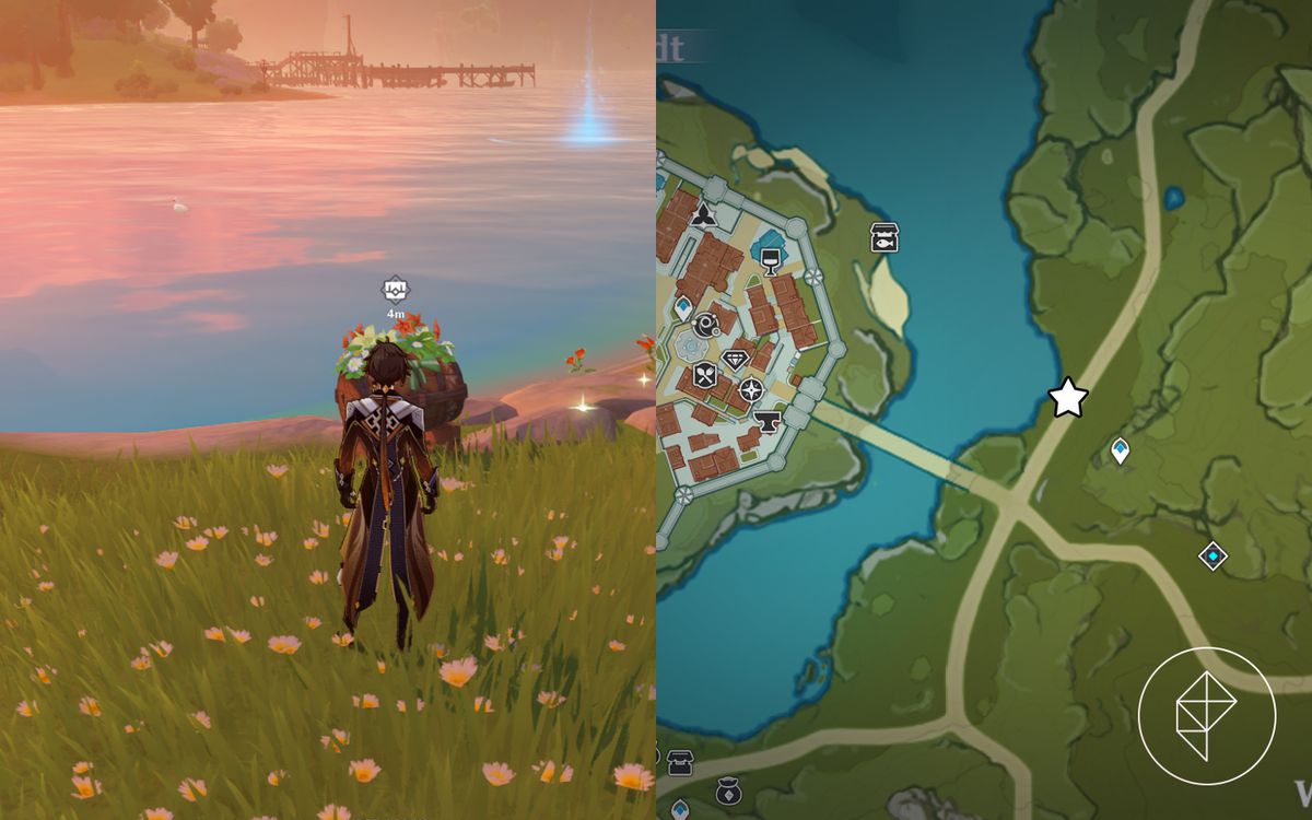 Una botte fiorita vicino al lago Mondstadt