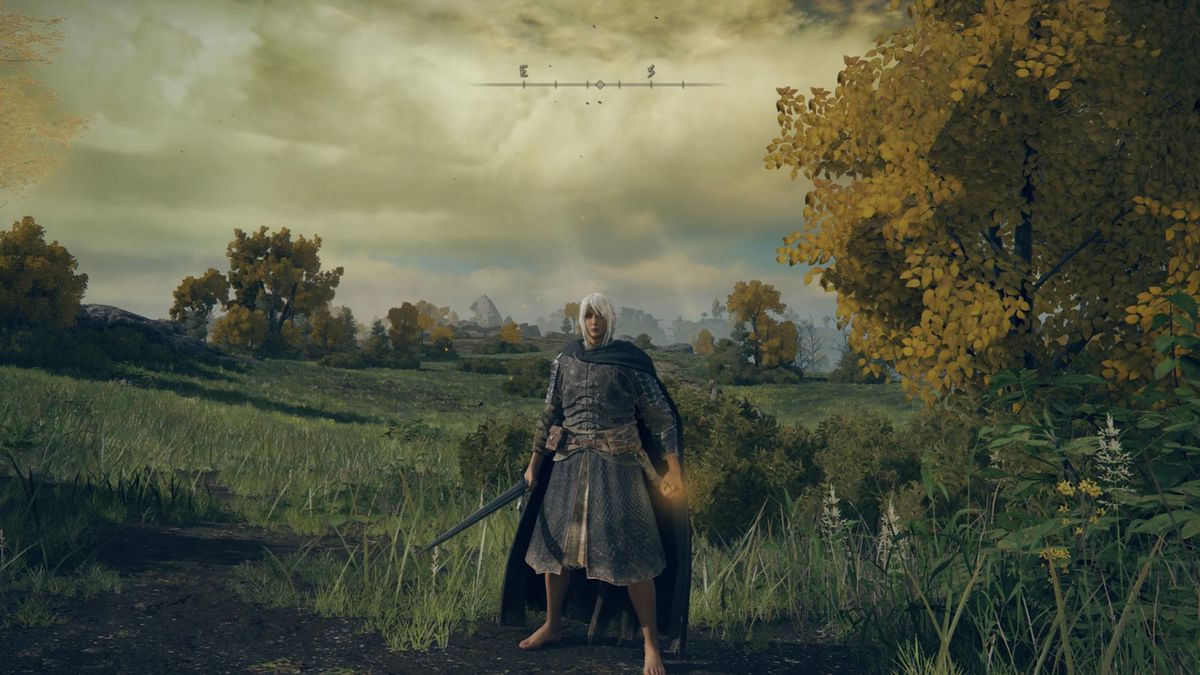 Un personaggio in Elden Ring con lunghi capelli bianchi sgangherati e indossa un mantello nero e indossa un'armatura leggera nera
