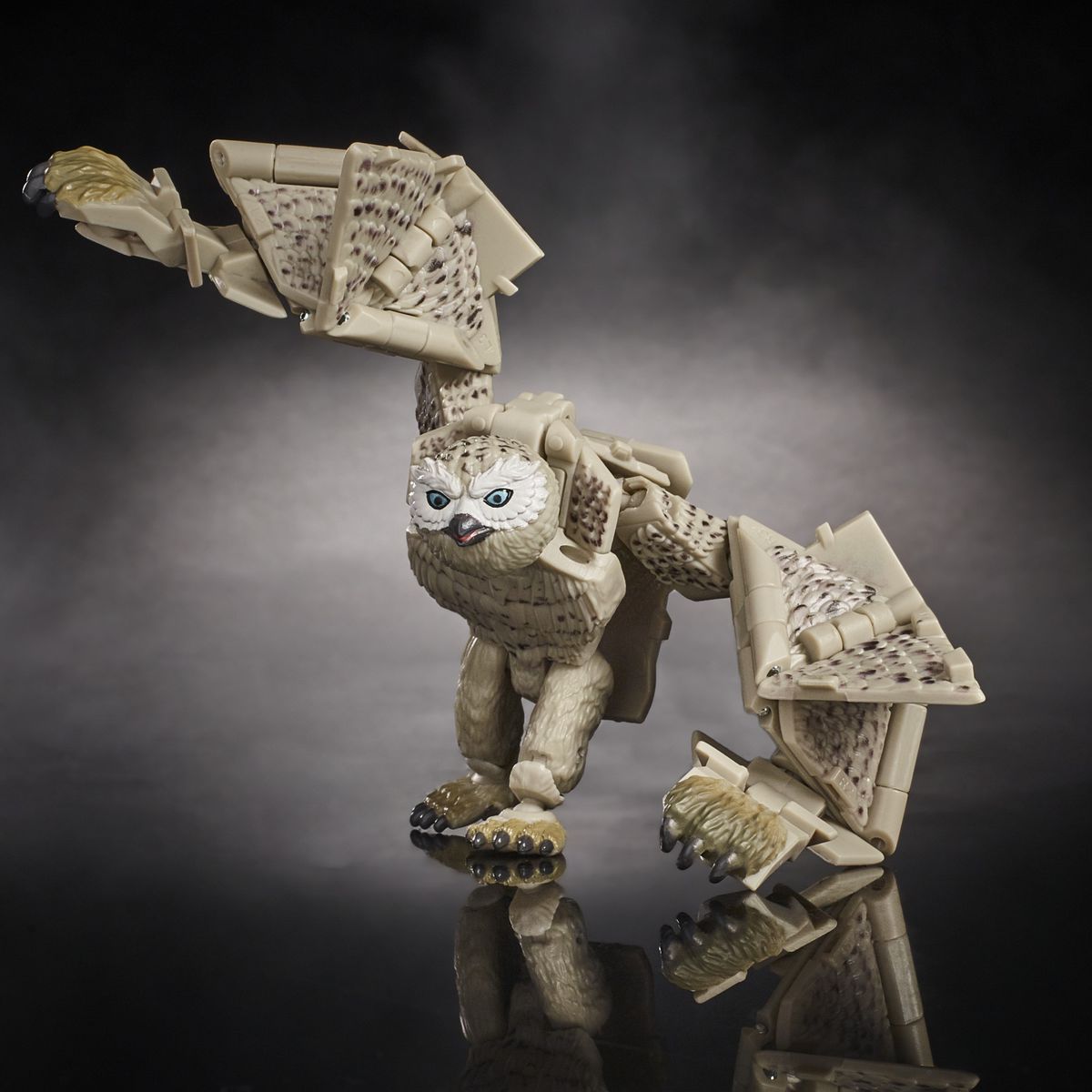 Un orso gufo che sbanda, immagino, con un'ala che batte il terreno come un pilota di motocross GT mentre ruota su una superficie altamente riflettente.