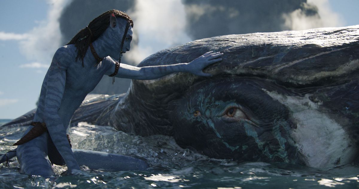 Lo'ak the Na'vi tocca una nuova creatura acquatica nel mare di Pandora in Avatar: The Way of Water