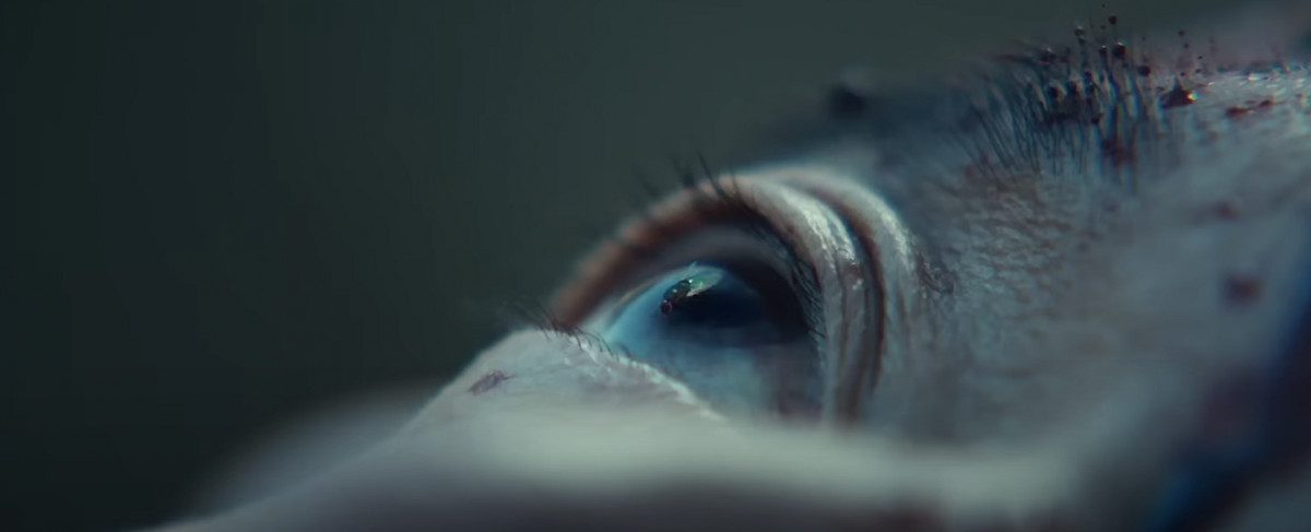 Un primo piano estremo del volto di un morto, con sangue secco nelle sopracciglia e una mosca in piedi sul suo bulbo oculare aperto e fisso in Decision To Leave