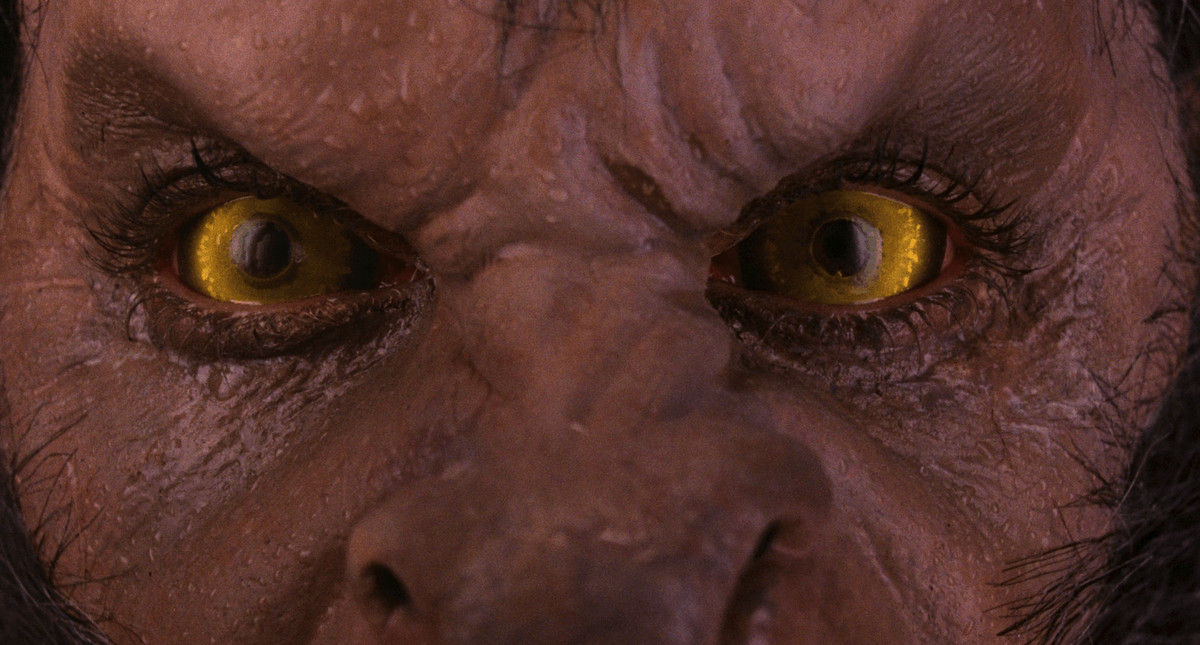 un primo piano sugli occhi gialli e sulla pelle coriacea di un lupo mannaro in un lupo mannaro americano a londra