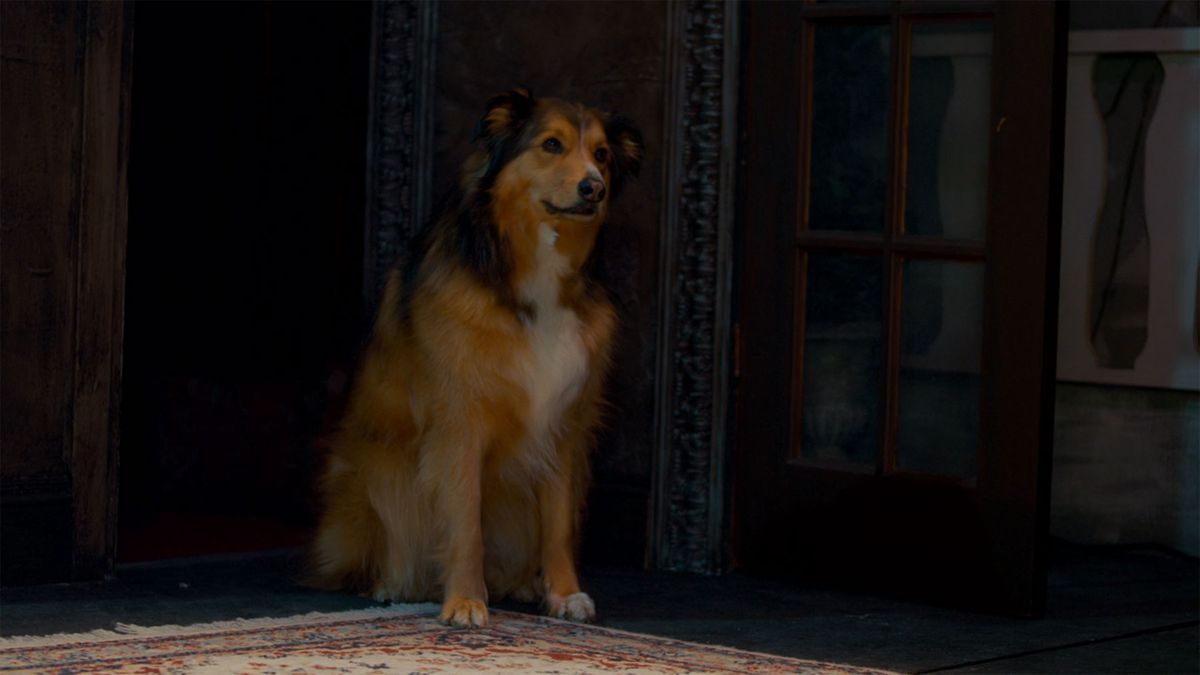 Un cane sta sul tappeto in My Dad Is Scrooge (2014)