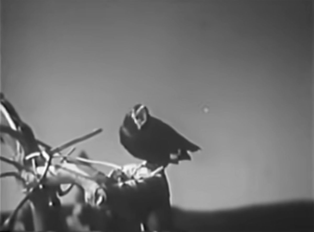 Un rave in un'immagine in bianco e nero da A Christmas Carol (1954)