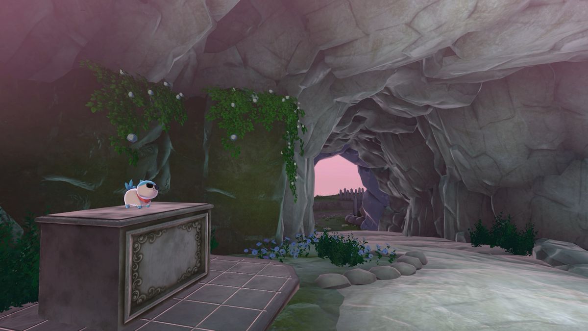 Cane sospettoso con sfumature in piedi in cima al piedistallo nella grotta