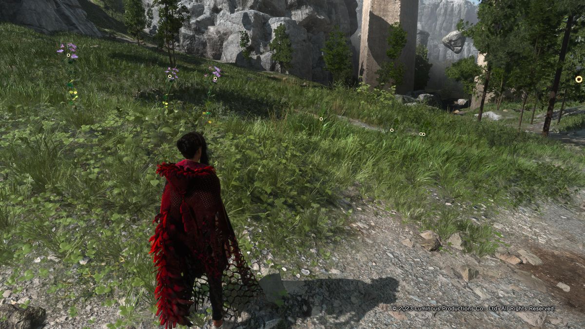 Frey Holland si trova su una strada sterrata vicino a un campo di erba e fiori in Forspoken, il sottovalutato gioco d'azione per PS5.